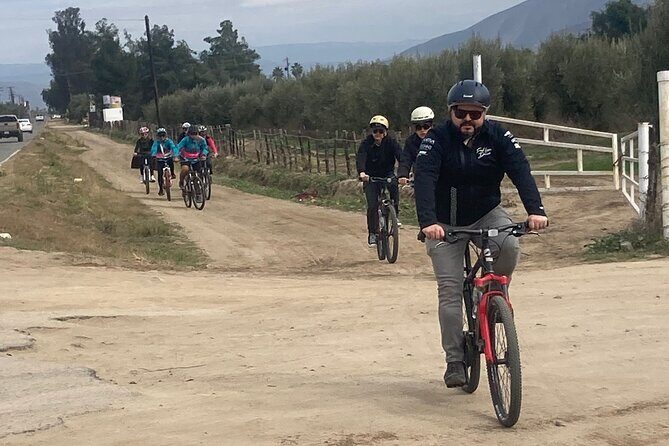 "Bike 2 wine", Exploring vineyards on a bike - Final Thoughts: Is It Worth It?