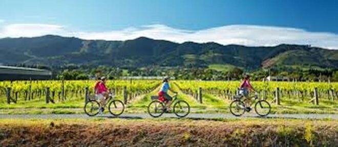 Bike Adventure-Haputale to Wellawaya via Beragala & Diyaluma - Expert Tour Guidance