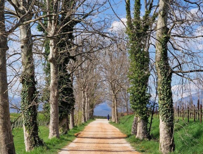 Bike and Coffee on Conegliano and Surrounding Hills - Directions