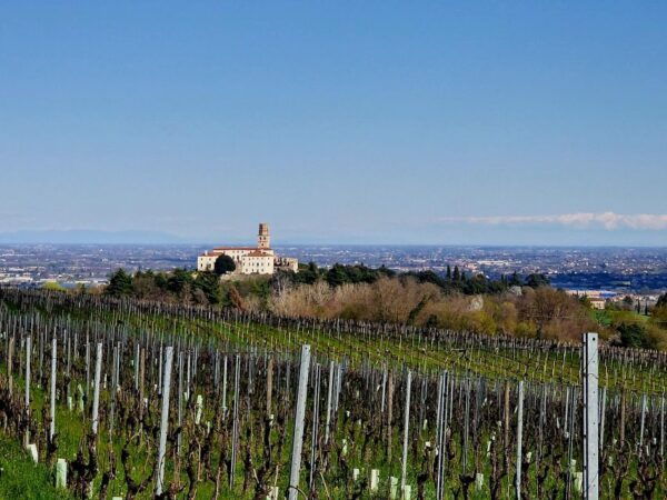 Bike and Coffee on Conegliano and Surrounding Hills - Frequently Asked Questions