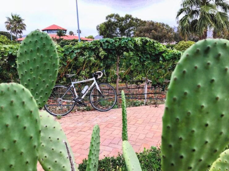 Bike and Wine Tasting Across the Guadalupe Valley - Good To Know