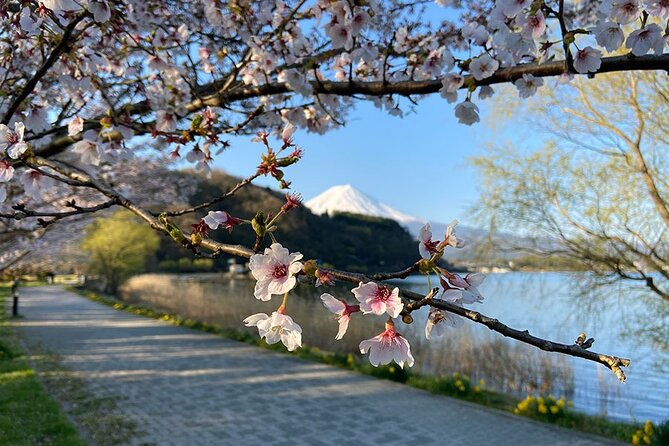 Bike Around Mount Fuji Tour - Tour Highlights