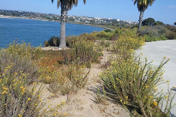 Bike Around San Diego Bay to the Ocean - Directions
