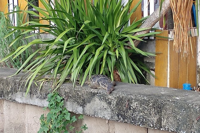 Bike & Bite With Boss: Discover Thonburi - Temples and Cultural Gems