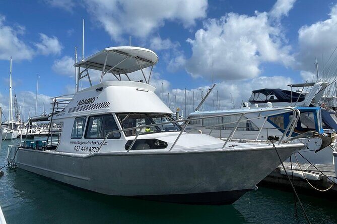 Bike Ferry Portobello to Port Chalmers and Quarantine Island - The Experience: What to Expect