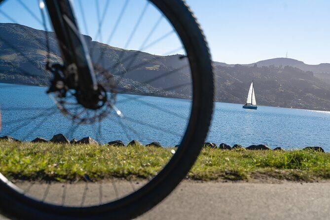 Bike Ferry Portobello to Port Chalmers and Quarantine Island - FAQ