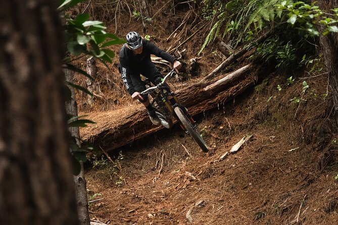 Bike Hire at the Waitangi Mountain Bike Park - Pricing and Booking Details