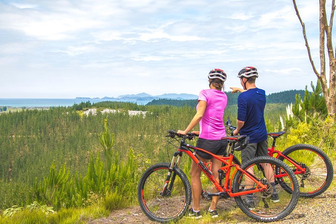 Bike Hire at the Waitangi Mountain Bike Park - Activity Overview