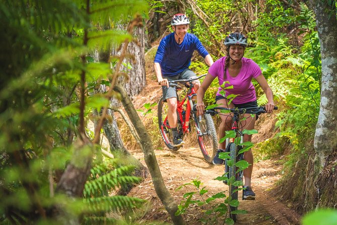 Bike Hire at the Waitangi Mountain Bike Park - Additional Information