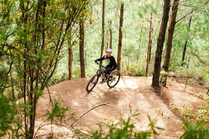 Bike Hire at the Waitangi Mountain Bike Park - Reviews and Ratings