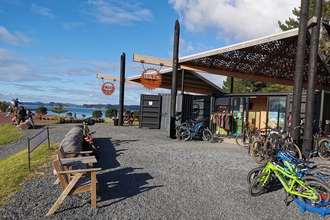 Bike Hire at the Waitangi Mountain Bike Park - The Sum Up