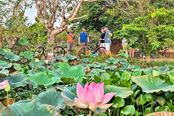 Bike of the Countryside in Siem Reap Half-day Morning - Authentic Feedback from Travelers