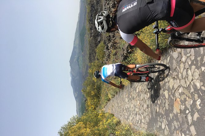 Bike Rent - Additional Information