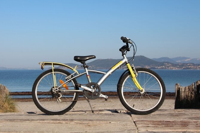 Bike Rental for the Whole Family in Hyères - Good To Know