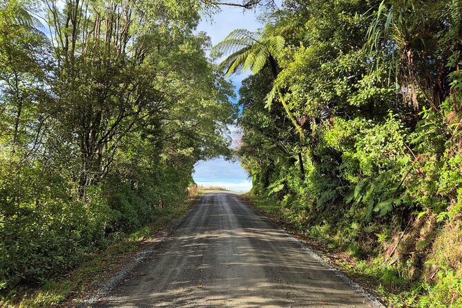 Bike Rental in Waitomo Caves - Good To Know
