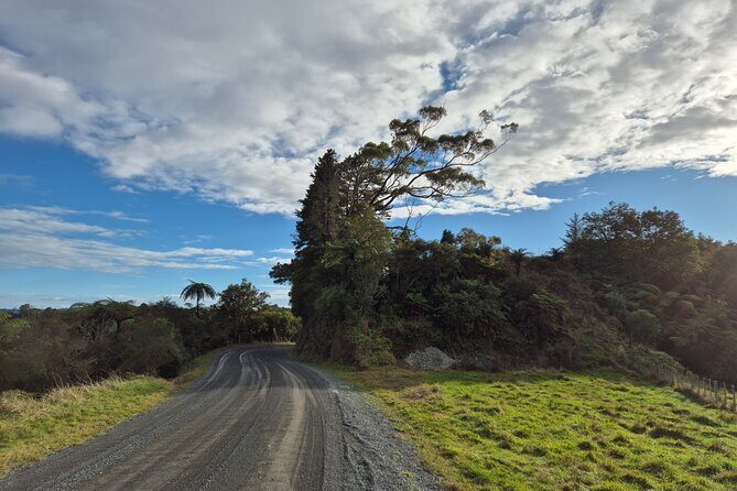 Bike Rental in Waitomo Caves - Why Choose the Bike Rental Experience in Waitomo?