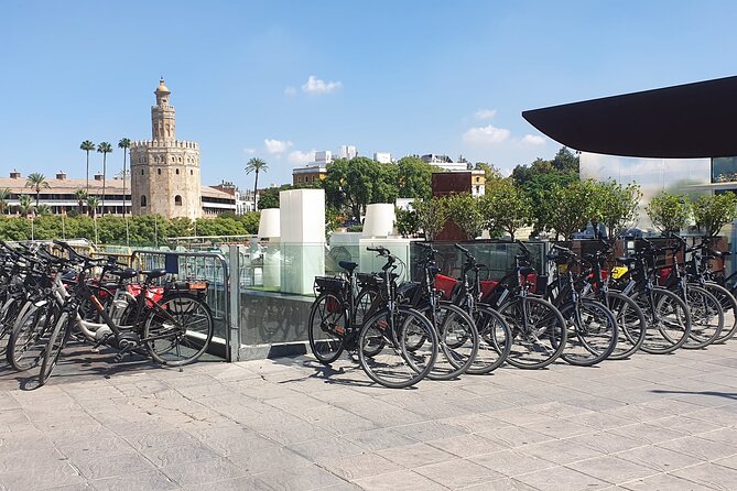 Bike Rental per Day in Seville - Rental Details