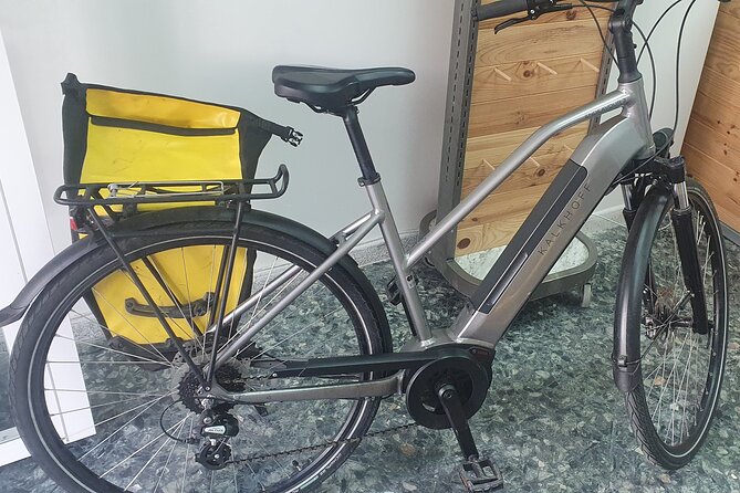 Bike Rental per Day in Seville - The Sum Up