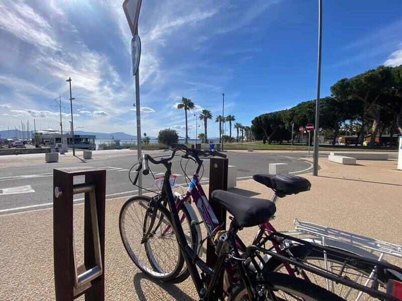Bike rental: Port of Cagliari, Su Siccu, Nervi Park, Molentargius - What to Expect on the Route