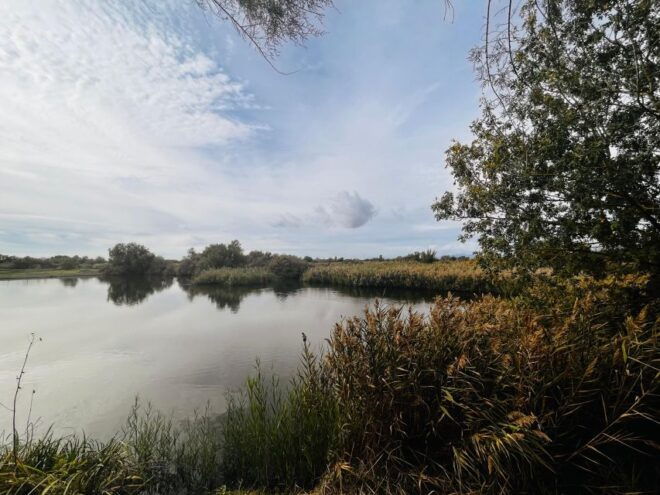 Bike Ride at Els Aigumolls Del Empordà - Tour Description