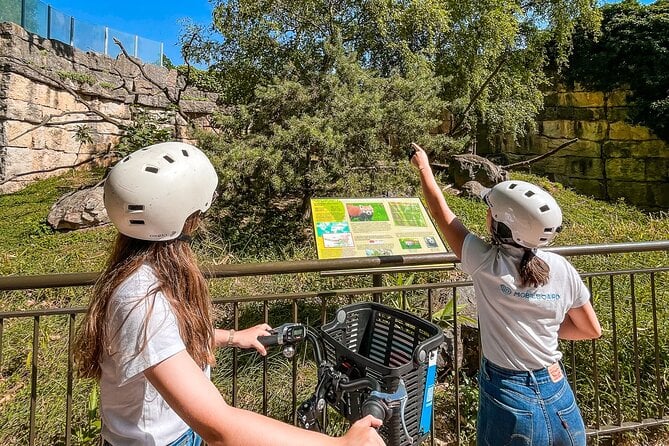 Bike Ride in the Parc De La Tête D'or - 2 Hours - The Sum Up