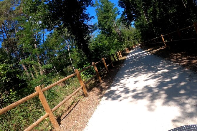 Bike Ride South of Bordeaux - Accessibility for Wheelchair Users and Strollers