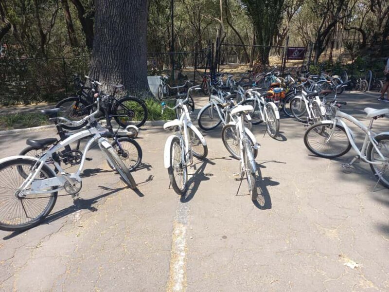 BIKE RIDE THROUGH ICONIC SITES OF THE CDMX / BREAKFAST & BEER - Good To Know