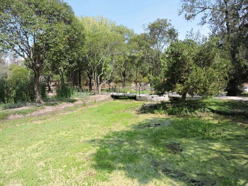 BIKE RIDE THROUGH ICONIC SITES OF THE CDMX / BREAKFAST & BEER - Practical Tips and Considerations