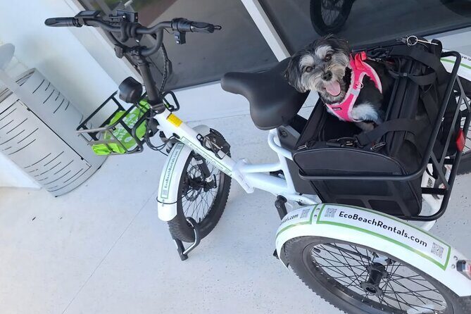 Bike Ride Through Ponte Vedra Beach Private Tour Florida - Good To Know