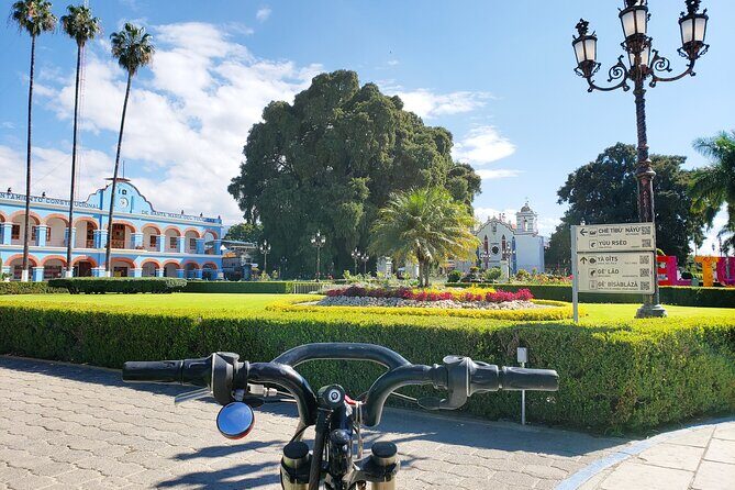 Bike Ride to the Largest Tree in the World - Good To Know