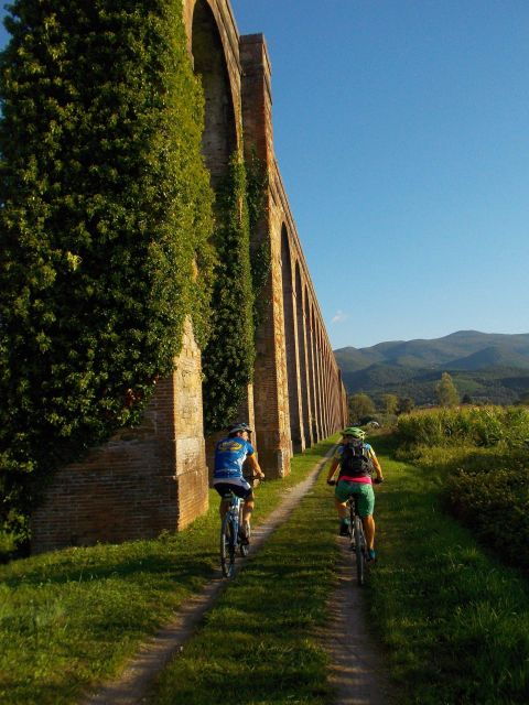 Bike Self-Tour in the Lucca Countryside and Green Landscapes - Tour Overview