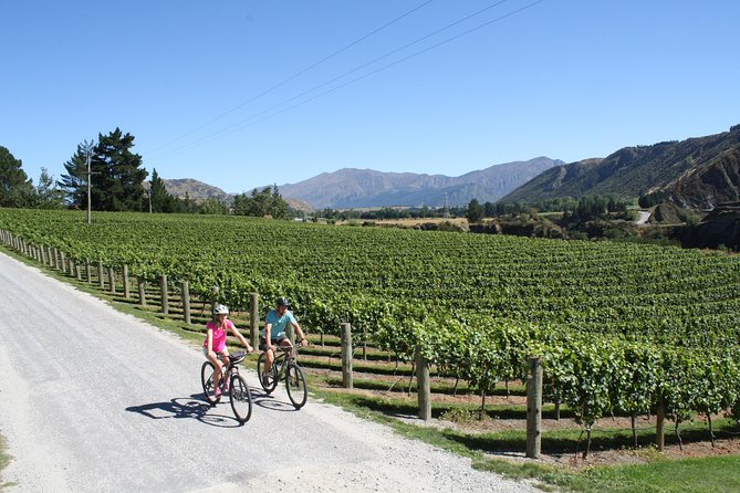 Bike The Wineries 3/4 Day Ride Queenstown - Lunch Options
