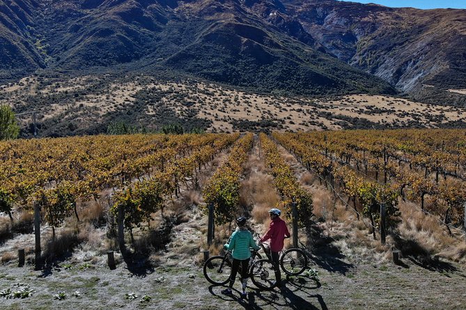 Bike The Wineries Half Day Ride Queenstown - The Sum Up