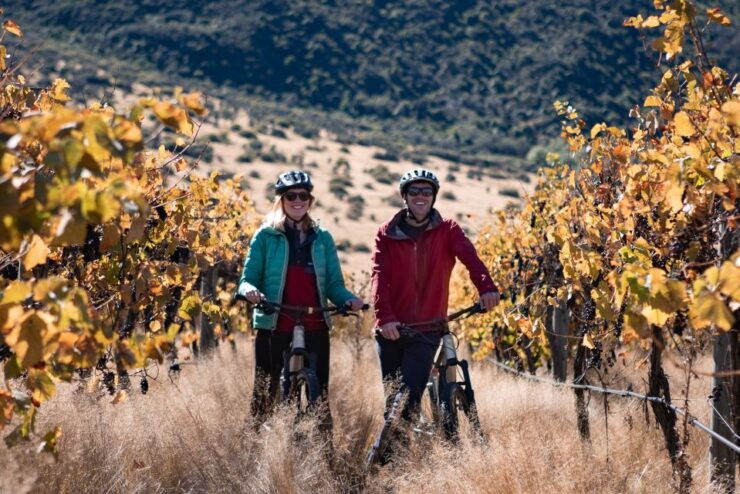 Bike The Wineries: Self-Guided Bike Rides - Experience