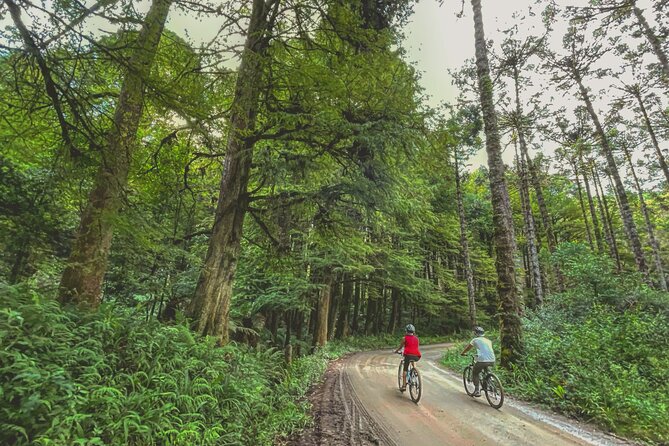 Bike Tour - Tour Highlights