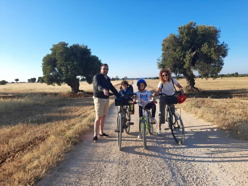 Bike Tour among the Ancient Olive Trees with EVO Oil Tasting - Good To Know