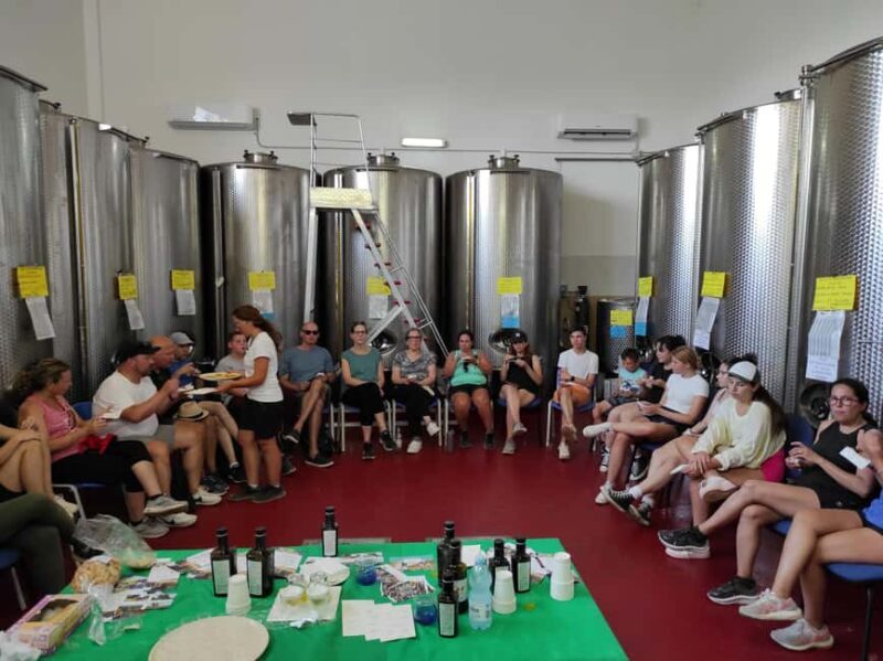 Bike Tour among the Ancient Olive Trees with EVO Oil Tasting - What to Expect from the Bike Tour