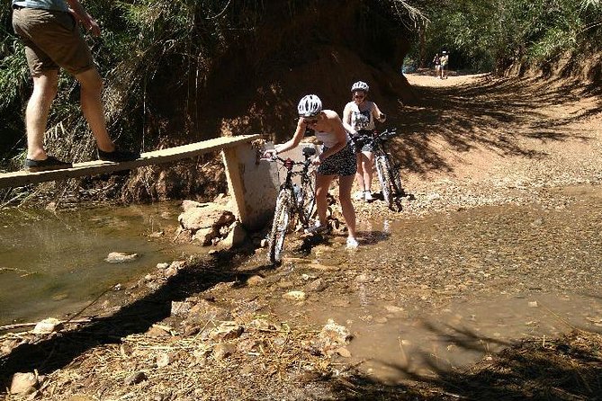 Bike Tour Go Into Nature - Tips for a Memorable Bike Tour Experience