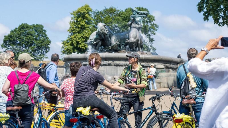Bike Tour in Copenhagen - Who should book this ride