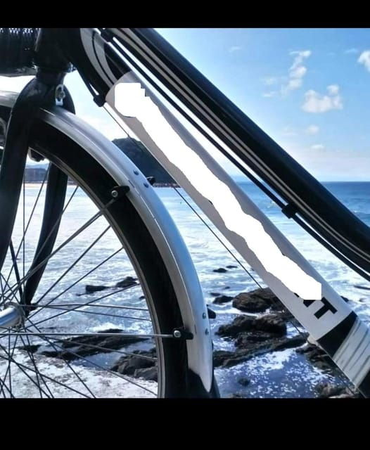 Bike Tour in San Sebastian & Snack and Drink FREE - Customer Ratings and Feedback