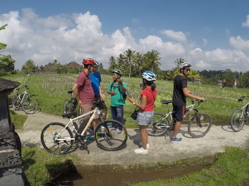 Bike Tour in Tegalalang with Lunch - The ride at a glance