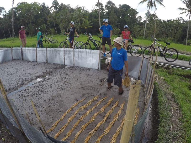 Bike Tour in Tegalalang with Lunch - From the saddle, Tegalalang feels closer
