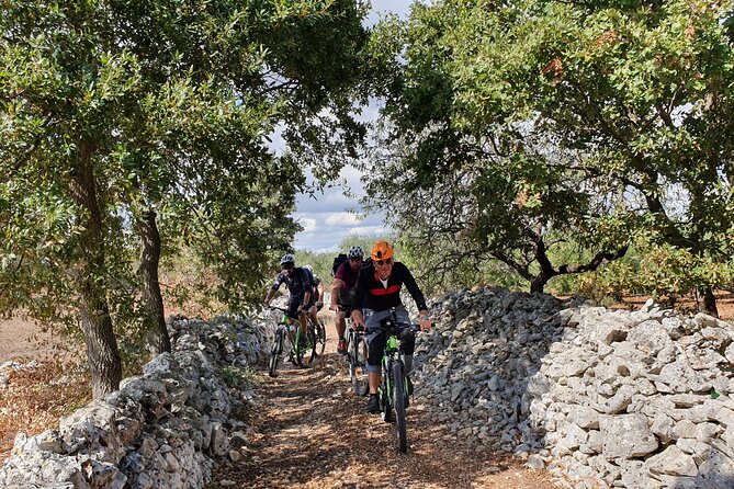 Bike Tour in the Alta Murgia National Park (Pulo of Altamura) - Park Overview