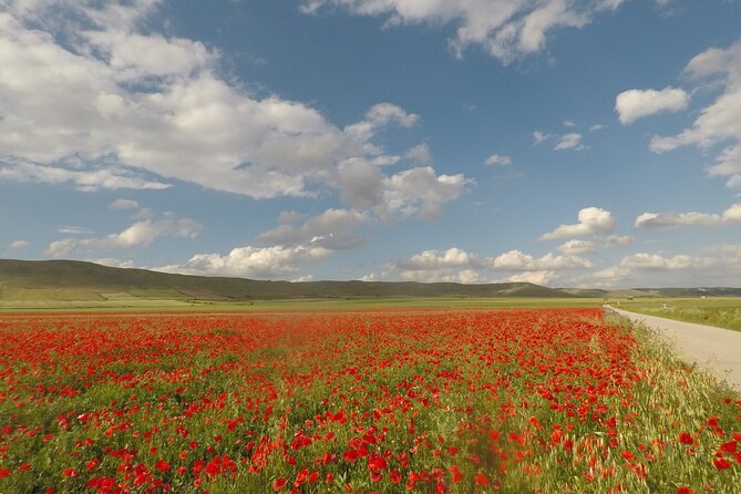 Bike Tour in the Alta Murgia National Park (Pulo of Altamura) - Tour Itinerary