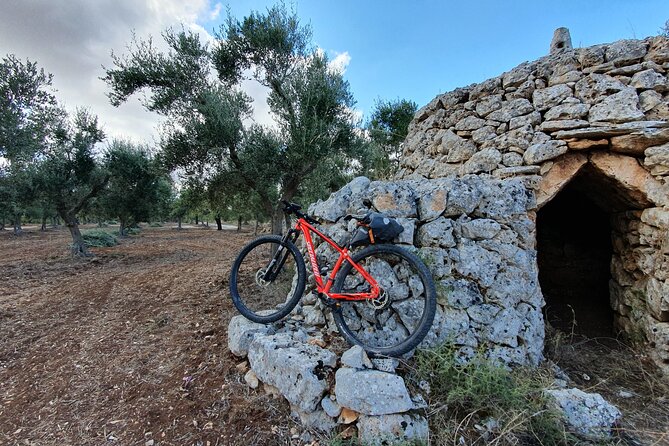 Bike Tour in the Alta Murgia National Park (Pulo of Altamura) - Meeting Point and Duration