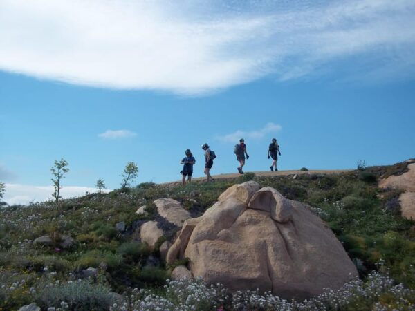 Bike Tour La Maddalena and Caprera - Cancellation Policy