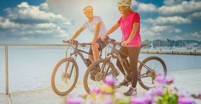 Bike Tour of Berlin Top Attractions With Private Guide - Full Description of Tour Options