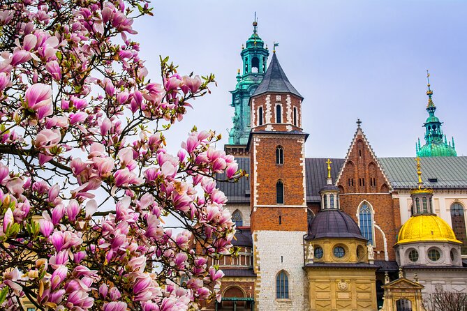 Bike Tour of Krakow Old Town, Top Attractions and Nature - Price and Cancellation Policy