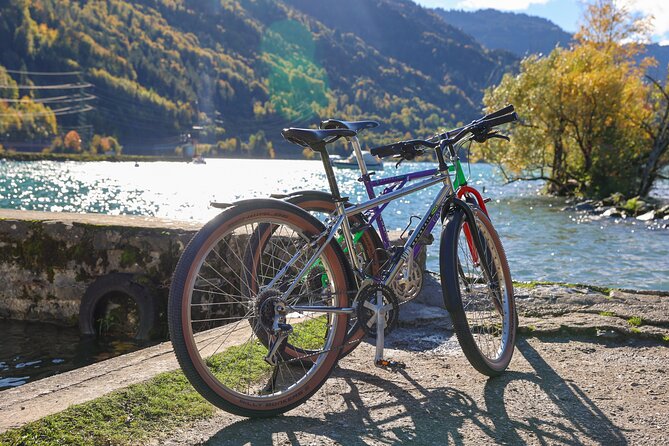Bike Tour of the Interlaken Valley: Rivers, Lakes & Forests - Itinerary Overview