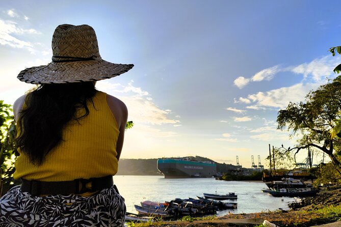 Bike Tour Panama Canal Zone - Traveler Reviews
